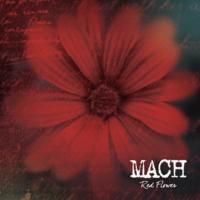 RED FLOWER