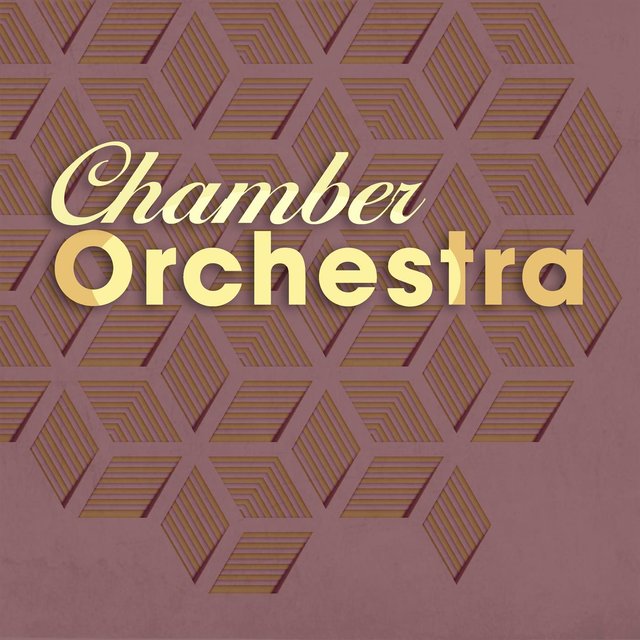 Chamber Orchestra