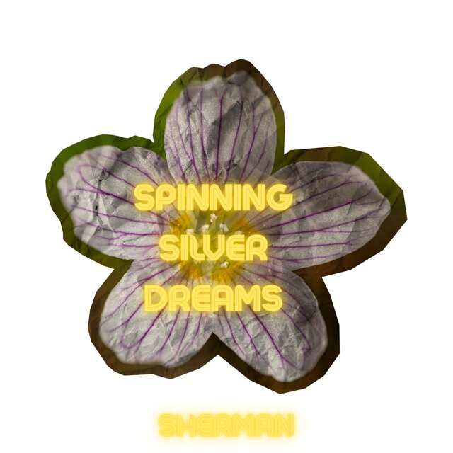 Spinning Silver Dreams