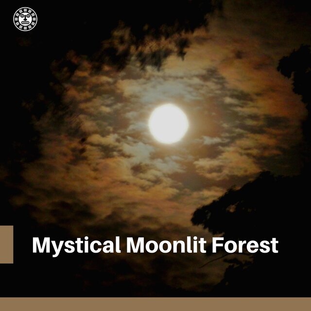 Mystical Moonlit Forest: Native Flute & Nature Sounds