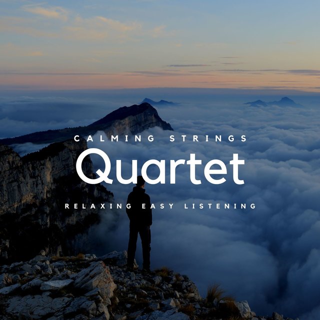 Relaxing Easy Listening Quartet