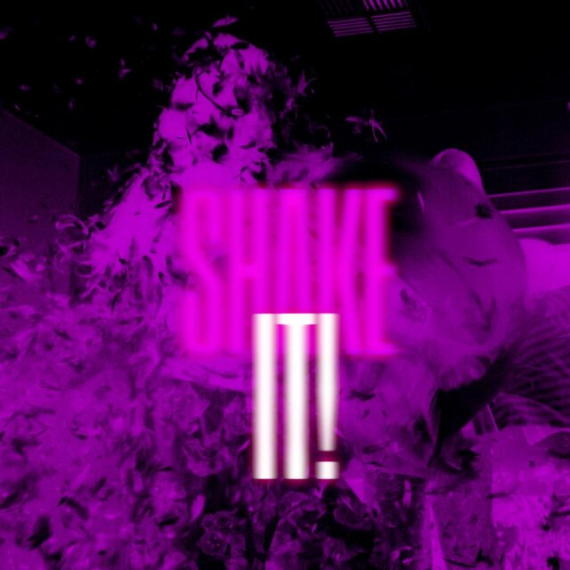 Shake It!