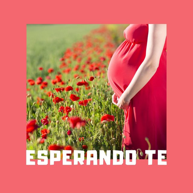 Esperando Te: Música Clássica para Bebê na Barriga
