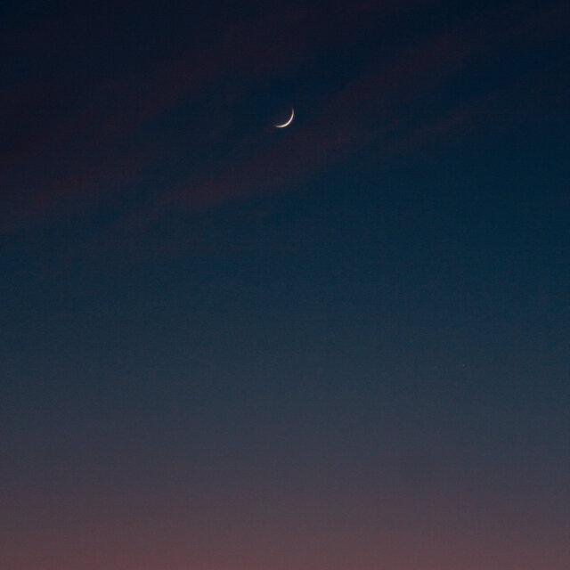 PATIENCE 4AM