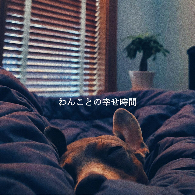 わんことの幸せ時間