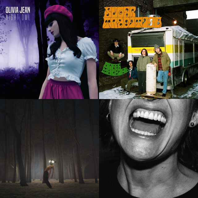 Cover art for album Vault Exclusive Playlist feat. Supply Chain Issues Tour Support by User