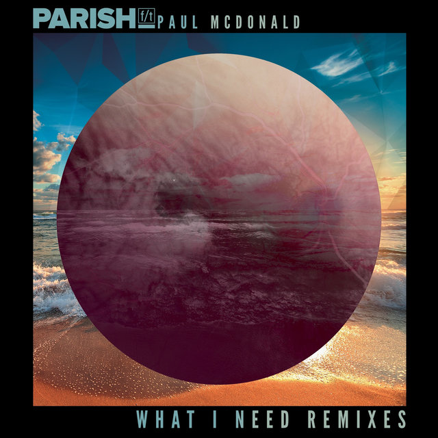 What I Need (Remixes)