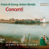 Harpsichord Concerto in B Minor: I. Allegro