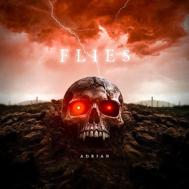 Flies
