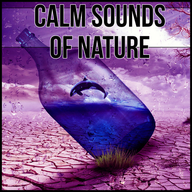 Calm Sounds of Nature – Quiet Sounds for Relax, Easy Piano Music for Relaxation Meditation Spiritual Healing, Serenity Sleep Music