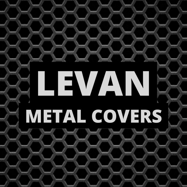 Metal Cover (Cover)