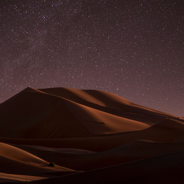 Yellow Desert