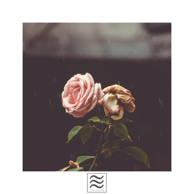 Simple Sounds of Soft Rain
