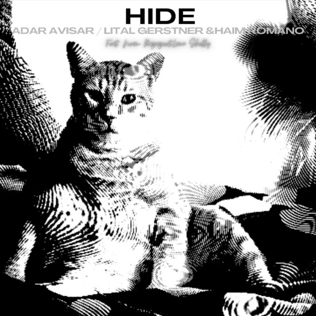 Hide (Instrumental)