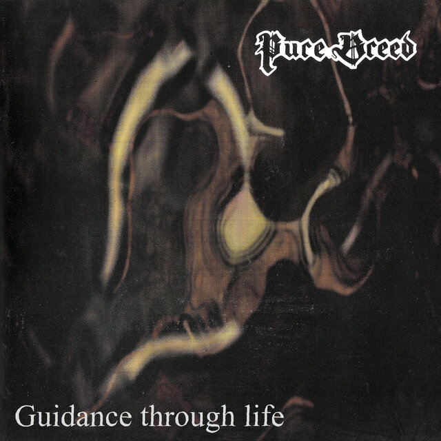 Guidance Through Life
