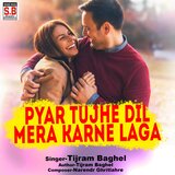 Pyar Tujhe Dil Mera Karne Laga