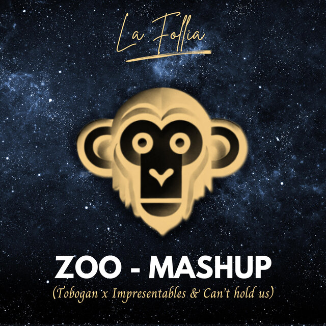 Mashup Zoo (Tobogan + Impresentables + Can't Hold Us)