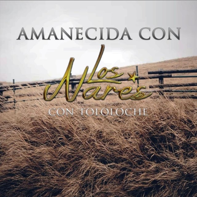 Amanecida Con los Nares Con Tololoche