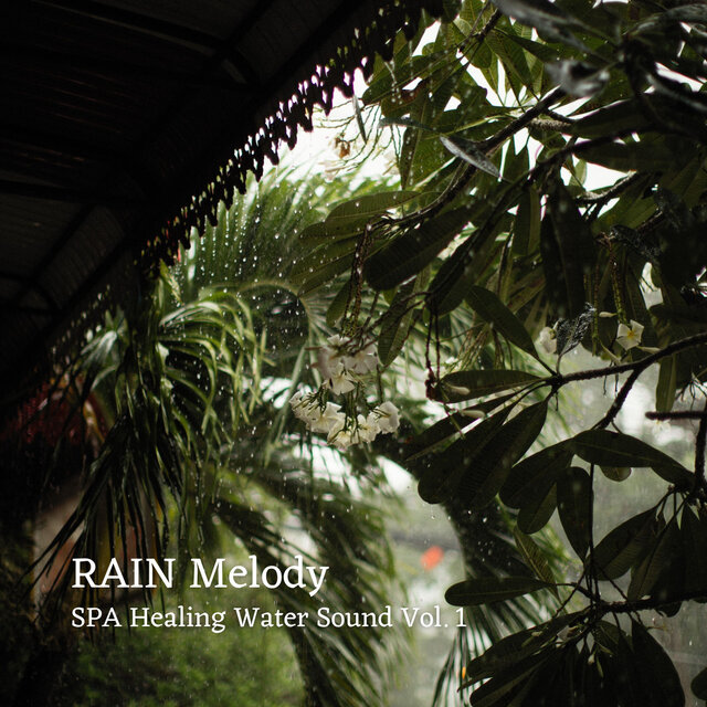 RAIN Melody: SPA Healing Water Sound Vol. 1