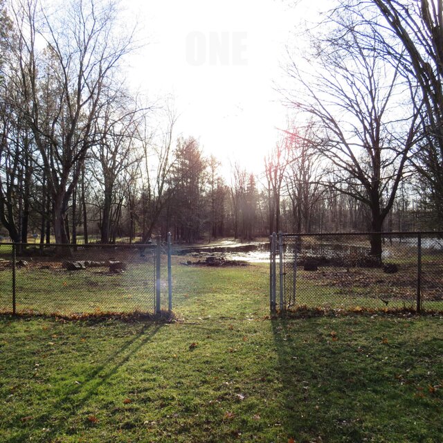 Ambient One