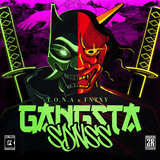 GNGSTA SDNSS