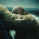 Cover art for album LEMONADE by Beyoncé