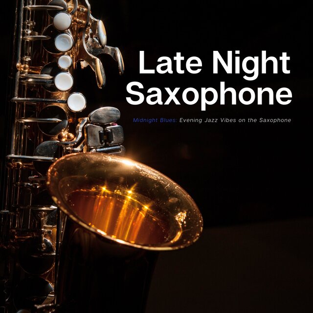 Midnight Blues: Evening Jazz Vibes on the Saxophone