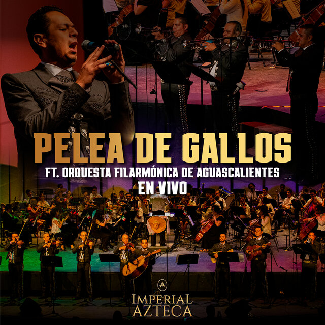 Pelea de Gallos (En Vivo)