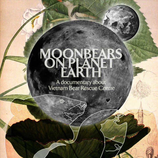 Moonbears on Planet Earth (Original Soundtrack)