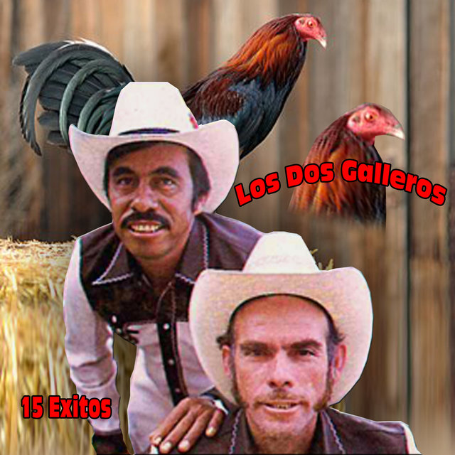 15 Exitos