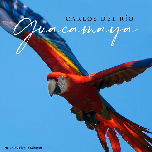 Guacamaya