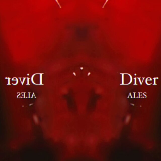 Diver