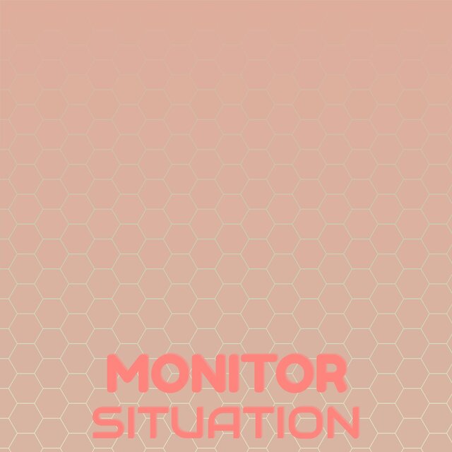 Monitor Situation
