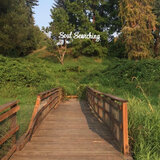 Soul Searching
