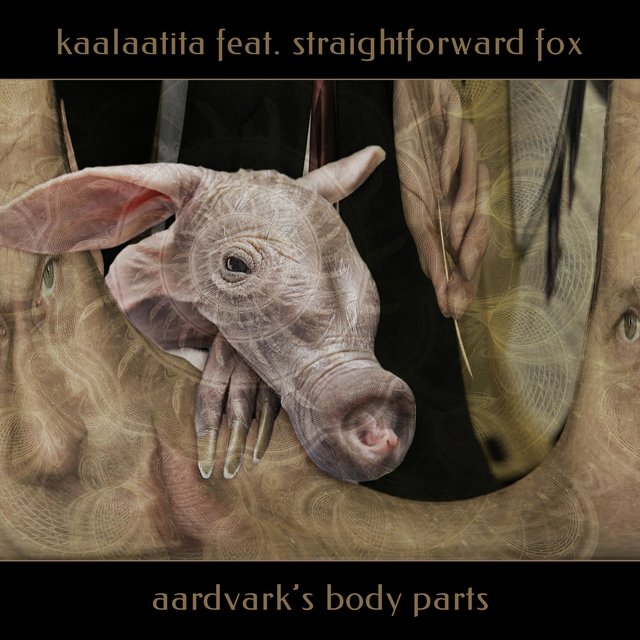 Aardvark's Body Parts