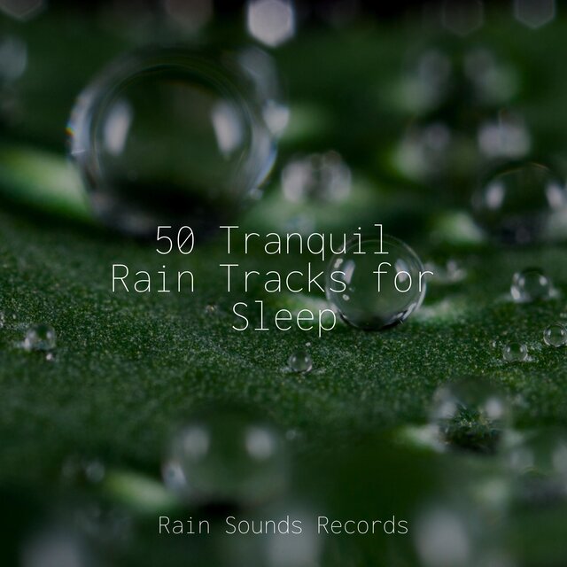 50 Tranquil Rain Tracks for Sleep