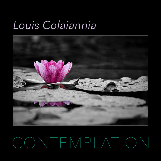 Contemplation
