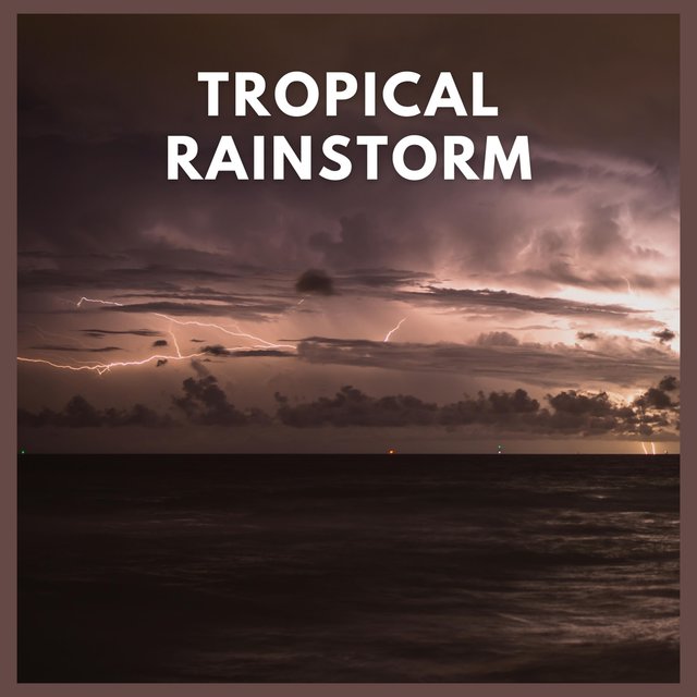 Tropical Rainstorm