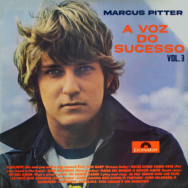 A Voz do Sucesso, Vol. 3