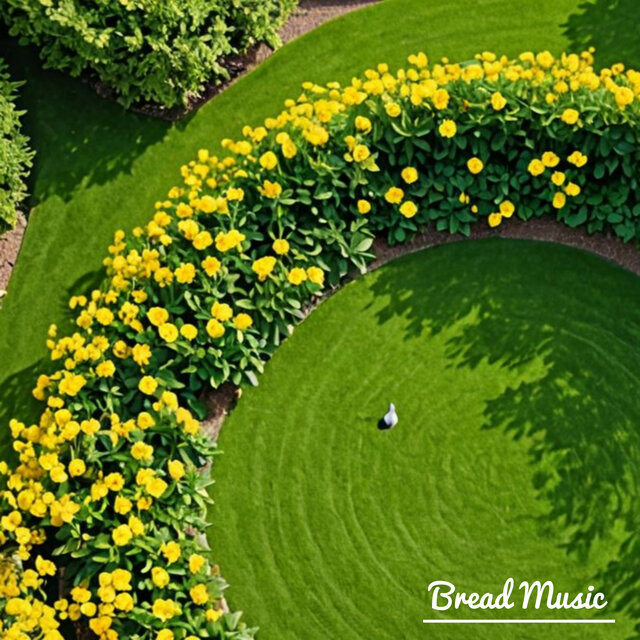 Morning Piano Music  in a Refreshing Morning. 5 Tracks (Birds Sound)  |  Birds Trace Poetry