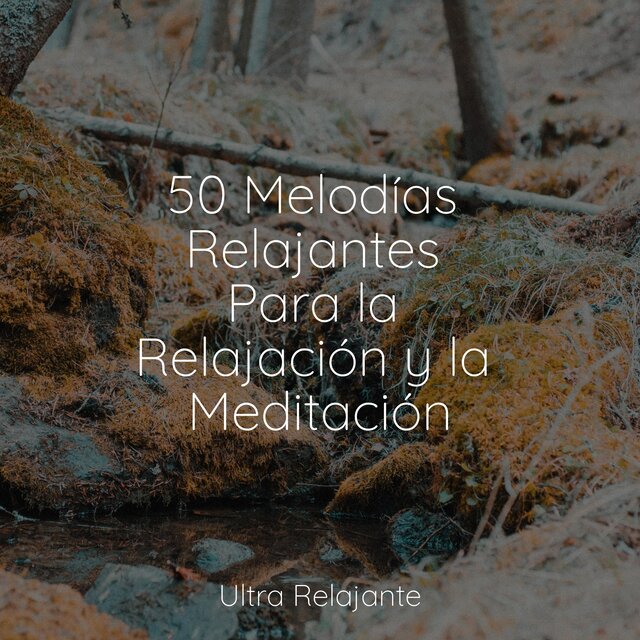 50 Melodías Relajantes Para la Relajación y la Meditación