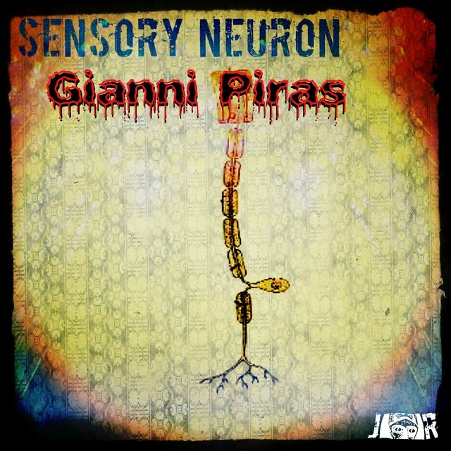Sensory Neuron