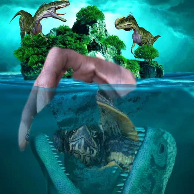 Flood