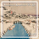 Sinfonie G-dur 1. Allegro