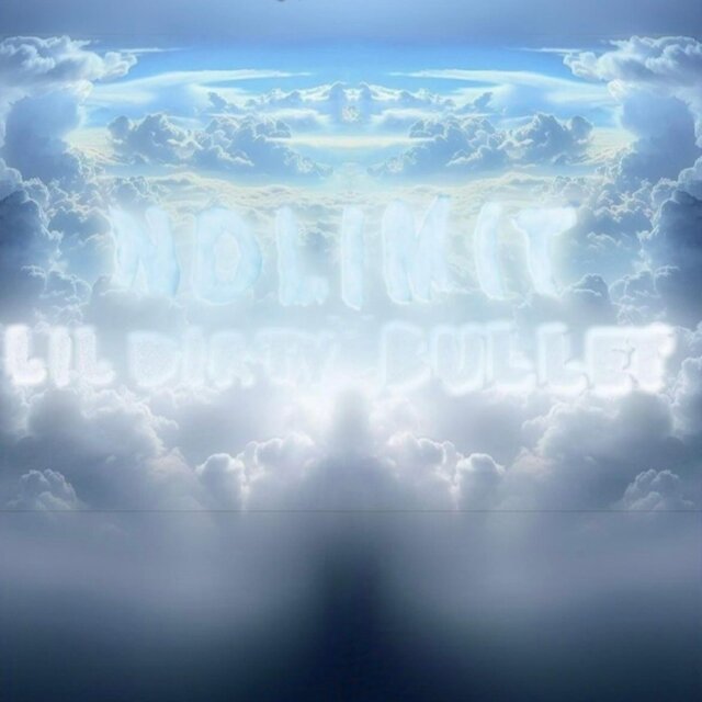 No Limit (feat. Bull)