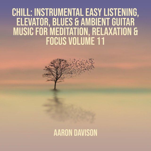 Chill: Instrumental Easy Listening, Elevator, Blues & Ambient Guitar Music for Meditation, Relaxation & Focus, Vol. 11
