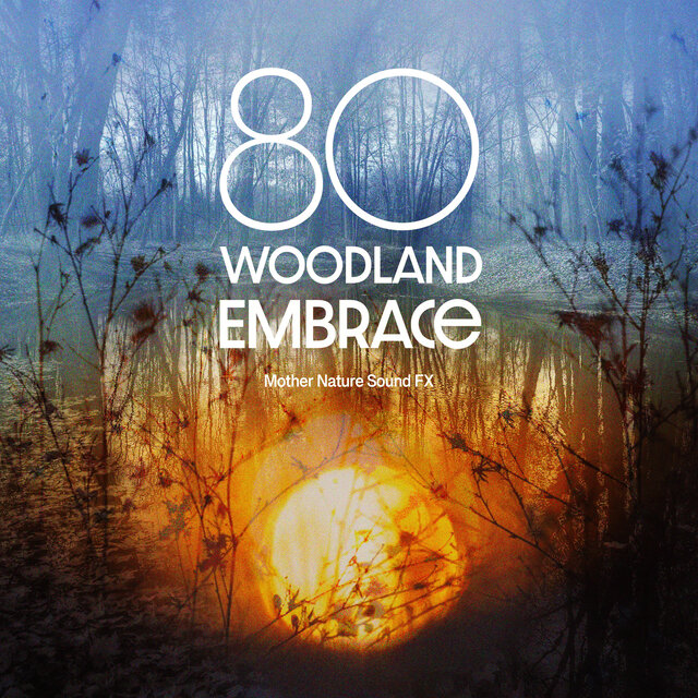 80 Woodland Embrace