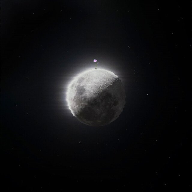 COSMOS