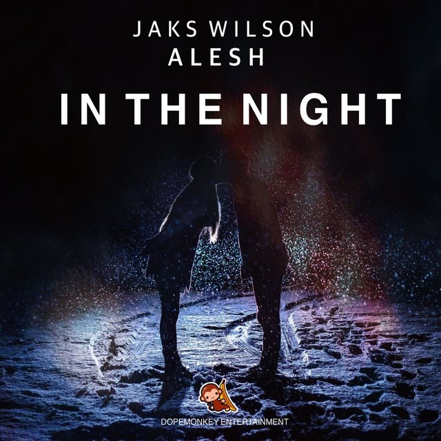 In The Night