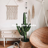 Beautiful Ambiance for Fresh Weekends